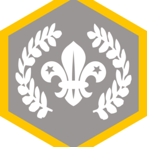 Chief Scouts Award (Replacement)